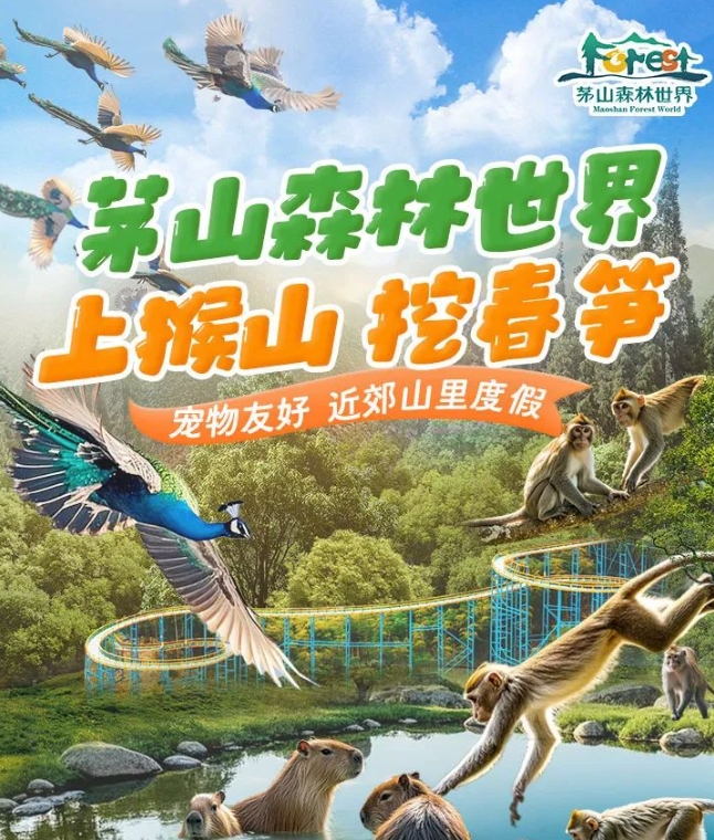 茅山森林世界春季撒欢指南 | 萌宠美景全拿下✨