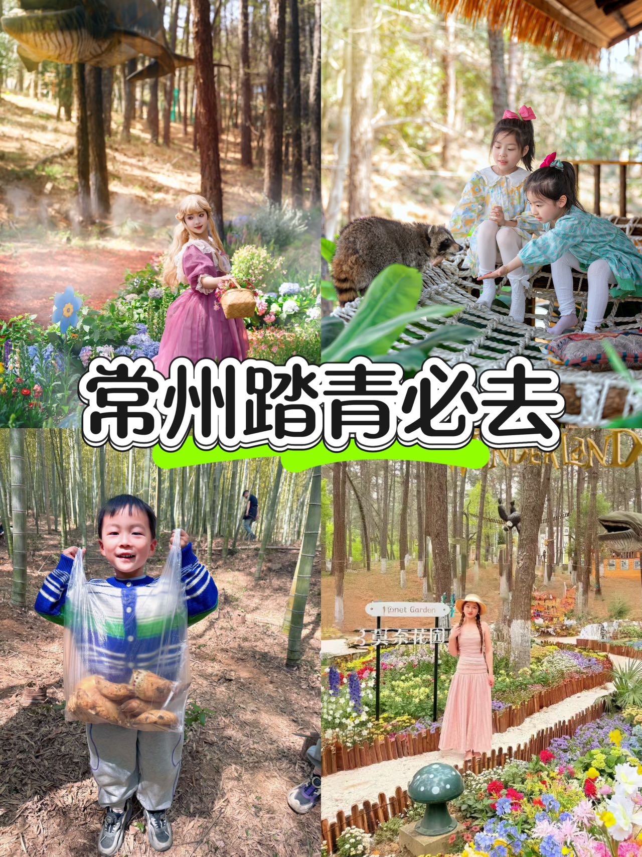 常州踏青必去！都不白来！不白来